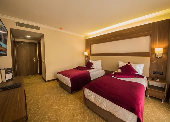 מלון Pasapark Selcuklu קוניה