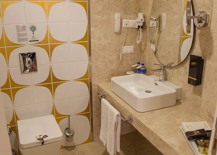 Pasapark Selcuklu קוניה